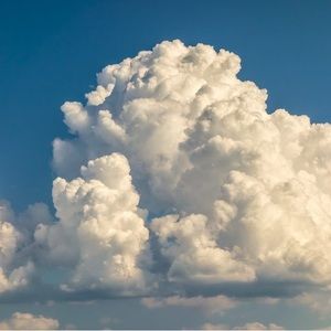 Meet your Posher, Evelyn